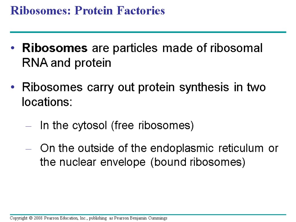 Ribosomes: Protein Factories Ribosomes are particles made of ribosomal RNA and protein Ribosomes carry